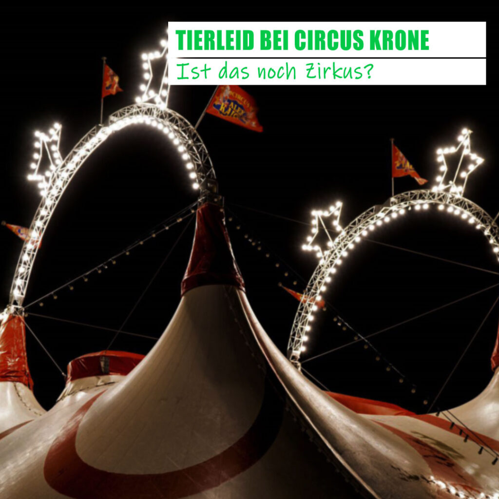 Tierleid bei Circus Krone