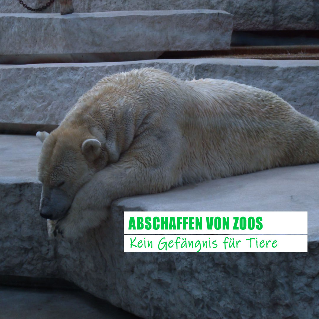 Abschaffen von Zoos