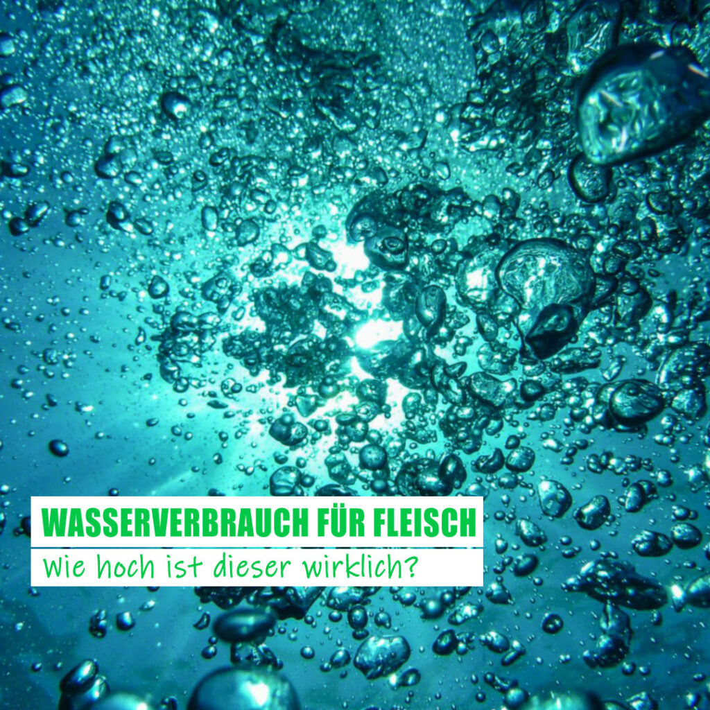 Wassverbrauch für Fleisch