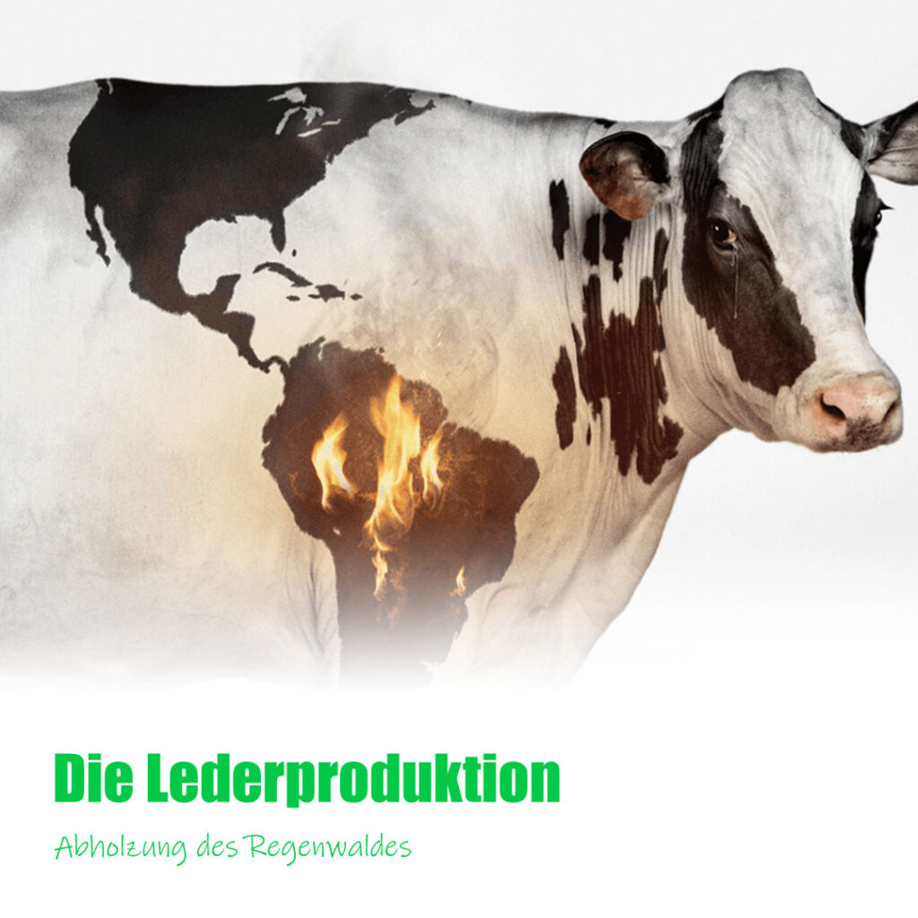 Die Lederproduktion