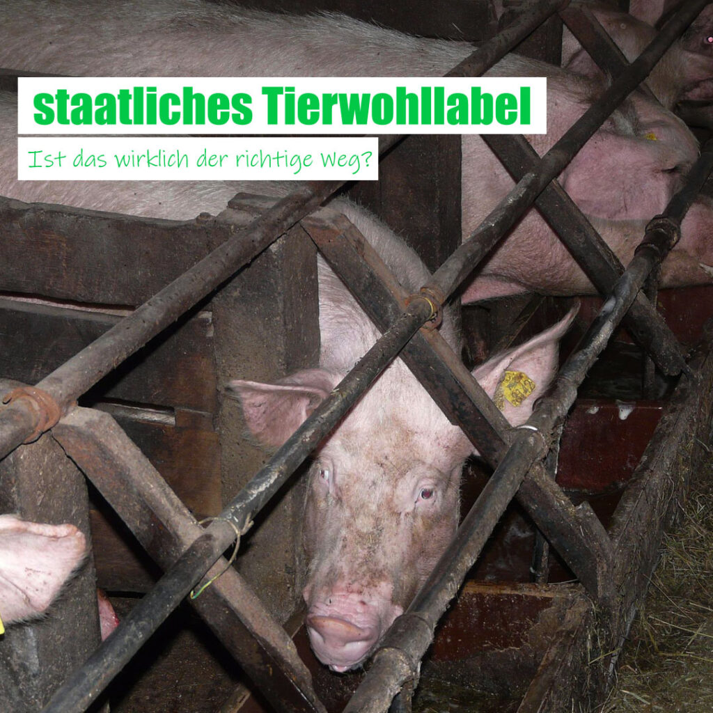 staatliches Tierwohllabel